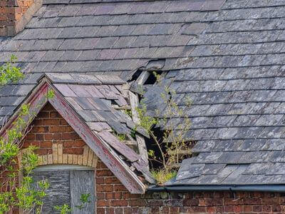 Professional storm damage restoration services in Middletown - water damage restoration service